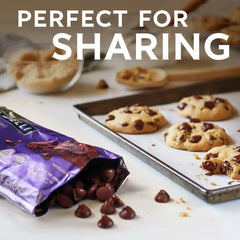 72% Cacao Dark Chocolate Chips 10 oz Bag