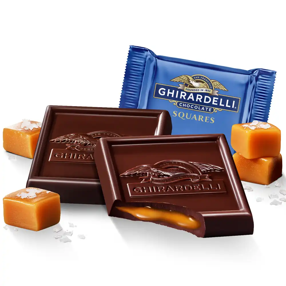 Dark Chocolate Sea Salt Caramel SQUARES Case Pack (430 ct)